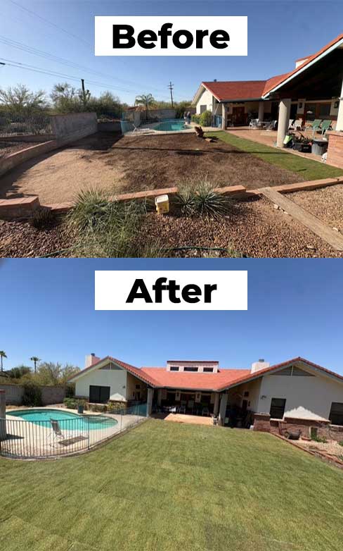 Before After Landscape